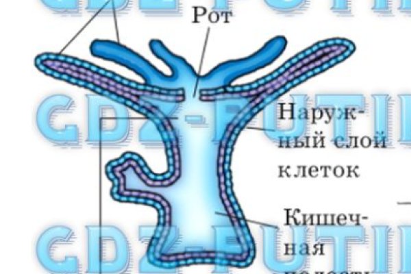 Кракен даркнет маркет ссылка на сайт тор