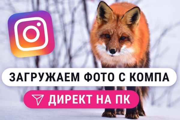 Пользователь не найден при входе на кракен