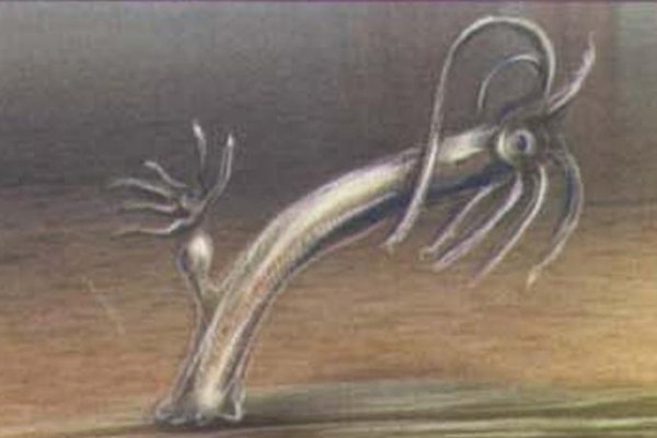 Кракен нет