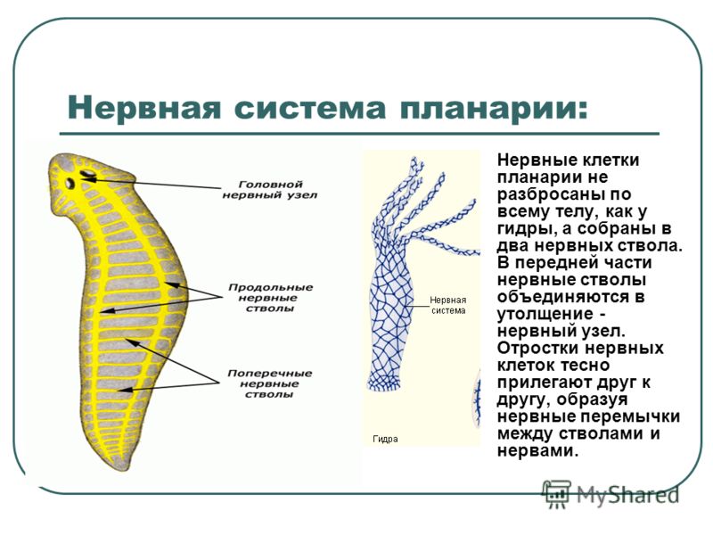 Кракен сайт маркетплейс