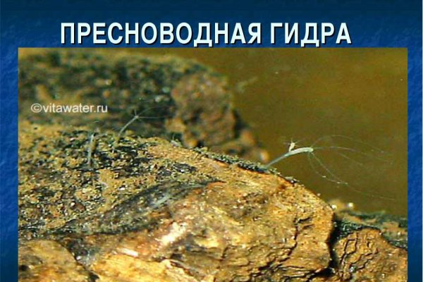 Кракен онлайн