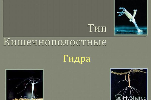 Кракен что продается