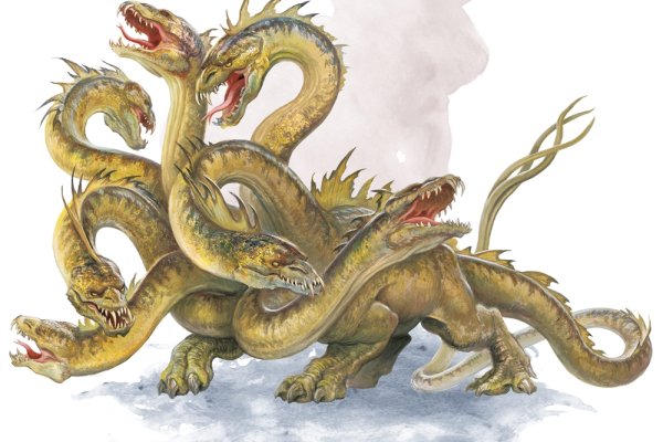 Kraken13at