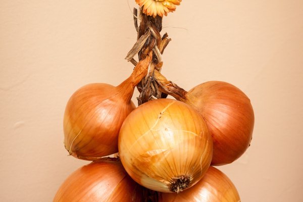 Kraken onion ссылка