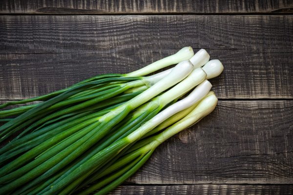 Не могу зайти в аккаунт кракен