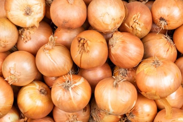 Сайты по продаже наркотиков