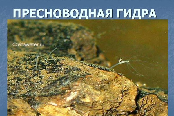Ссылка кракен cc