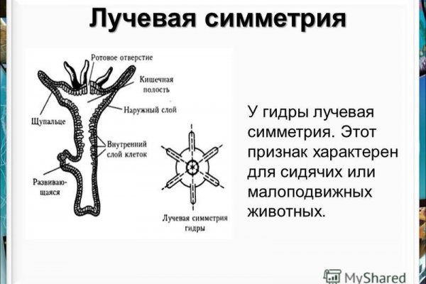 Kra50.cc Вход на сайт главная страница